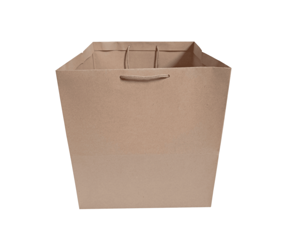 ساک دستی بیرون بر 28x28x32h (پاکت پیتزا دو نفره) عکس اول