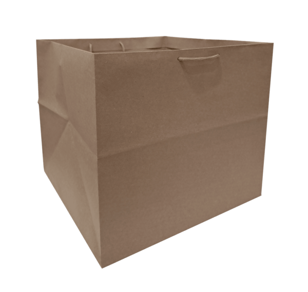 ساک دستی بیرون بر 32x32x30h (پاکت پیتزا خانواده) عکس اول