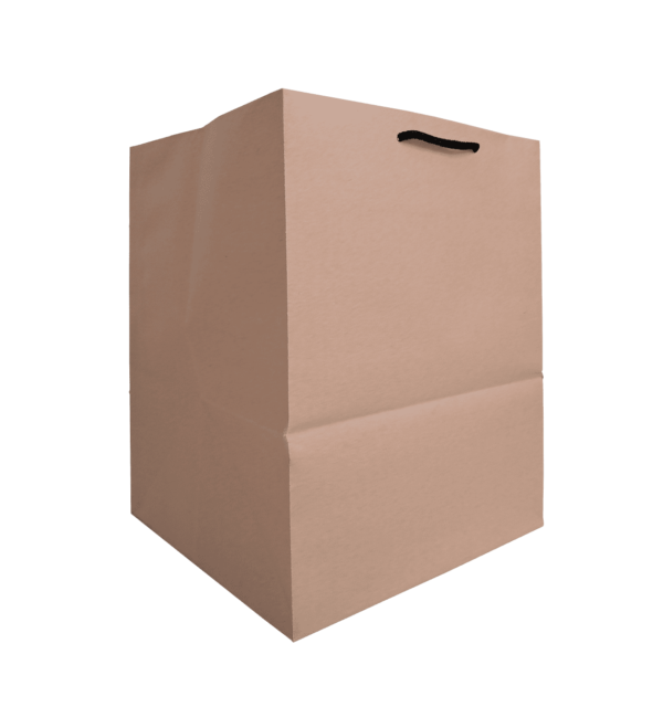 ساک دستی بیرون بر 25x25x32h (پاکت پیتزا تک نفره) عکس سوم
