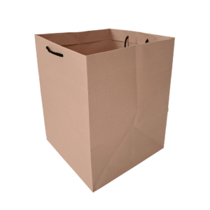 ساک دستی بیرون بر 25x25x32h (پاکت پیتزا تک نفره) عکس اول