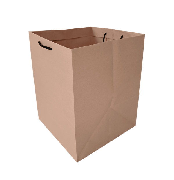 ساک دستی بیرون بر 25x25x32h (پاکت پیتزا تک نفره) عکس اول
